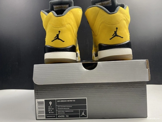 One Kick Air Tokyo T23 454783-701 Retro Jordan 5 0713